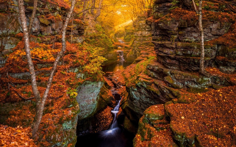 hd, rocks, 1080P, stream, timelapse, forest, sunlight, waterfall, autumn, nature, stones, trees