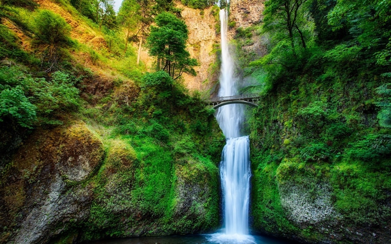 Forest, Bridge, Trees, Oregon, Stream, waterfalls, Rock, 1080P, USA, Waterfall