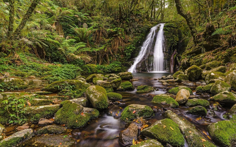 nature, rocks, hd, waterfall, moss, jungle, green, 1080P, stones, stream, forest