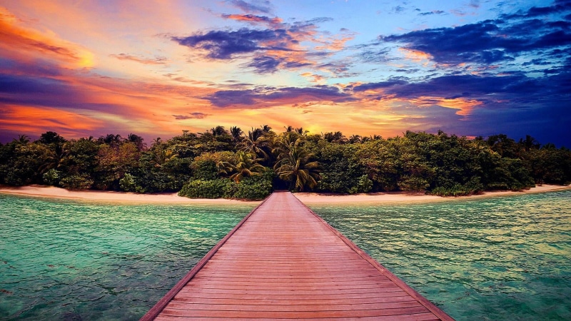 wood - material, plant, sky, land, rainforest, the way forward, tranquil scene, sea, beach, orange color, evening, cloud, beauty in nature, scenics - nature