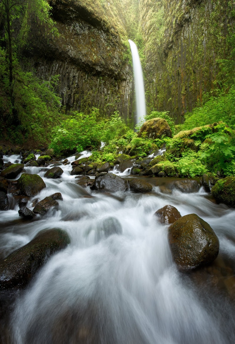 creek, green, Waterfall, flowing, waterfalls, moss, outdoors, river, stream, freshness, Dry Creek, 1080P, forest, plants, Oregon, Falls, columbia  river  gorge
