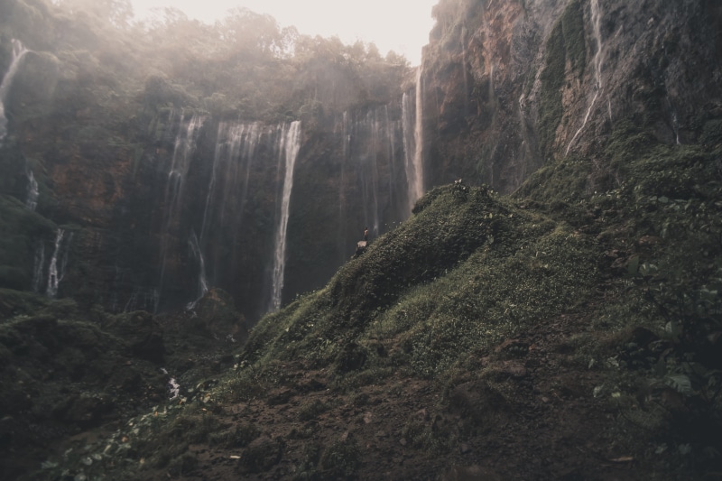 rock, lush foliage, lumajang, tranquility, 5K, plant, nature, growth, cliff, bird, travel, day, water, environment, animal, panoramic, fog, no people