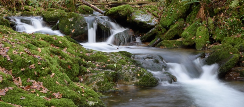 photography, lapse, nature, rock - Object, time, 5K, Galicia, tropical Rainforest, scenics, waterfall, freshness, leaf, river, DSC, time lapse photography