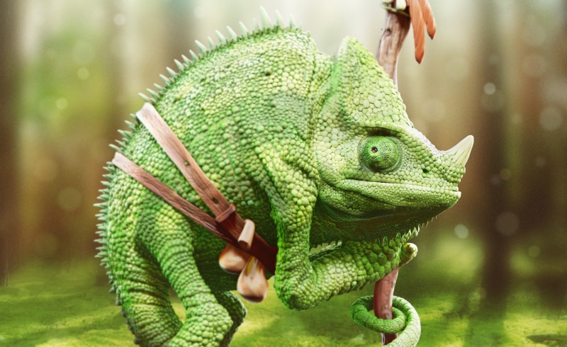 tree, vertebrate, reptiles, close-up, day, outdoors, green, animal, animals in the wild, chameleons, animal themes, chameleon, reptile, no people, looking