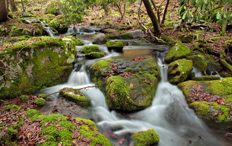 filled, time, nature, trees, time lapse photography, moss, cascades, leaf litter, State Game Lands, winter, lapse, plant, stream, Pennsylvania, waterfall