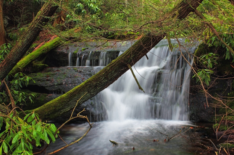 waterfalls, winter, Monroe County, Pennsylvania, daytime, outdoors, nature, river, beauty In Nature, rhododendron, green Color, trees, tree, covered, freshness