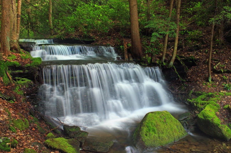 leaf, Wilds, outdoors, Sproul State Forest, Falls, scenics, creek, hiking, forest, Clinton County, Run, photography, water, spring, Centre County, Trail