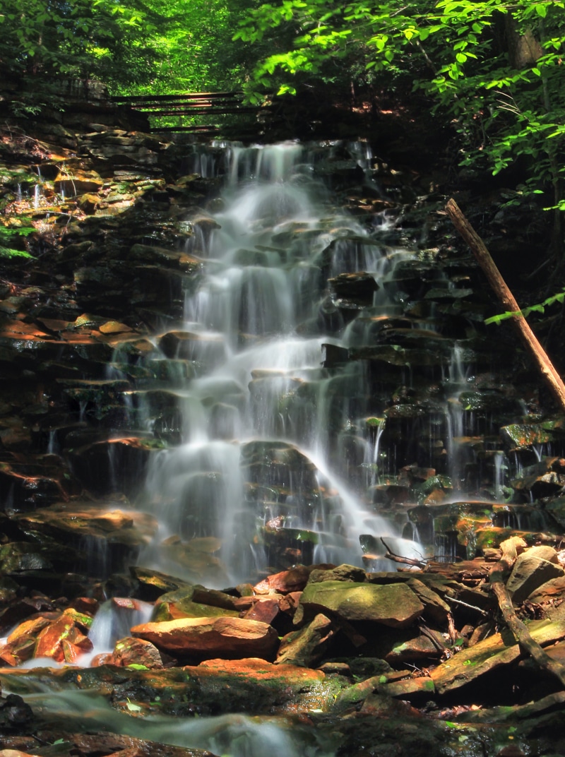 creative commons, layered, creek, plants, Pennsylvania, cascades, trees, rock - Object, leaf, water, outdoors, time, river, Lycoming County, hiking, rocks
