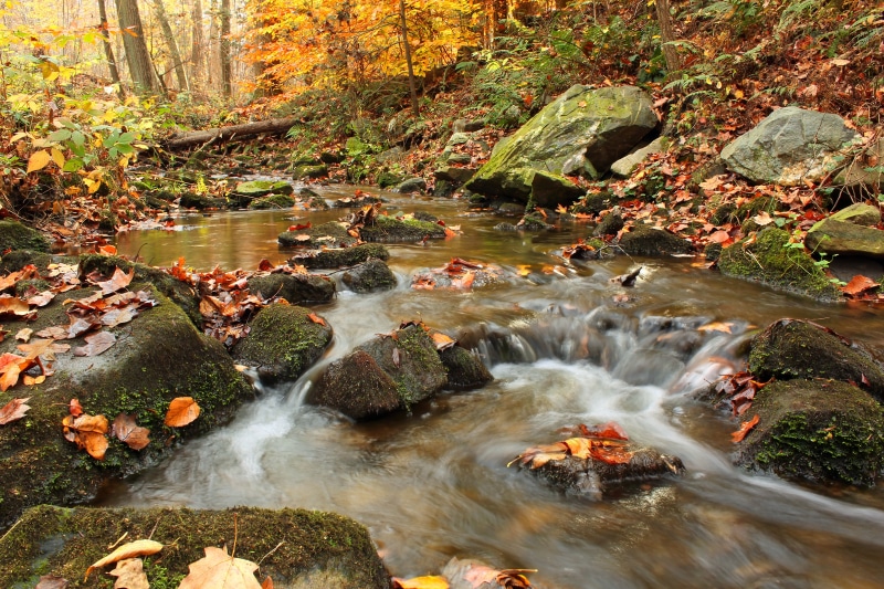 moss, river, flowing, falling, cascades, beauty In Nature, Appalachian Trail, leaf litter, outdoors, Gap, season, rocks, waterfall, Michaux State Forest