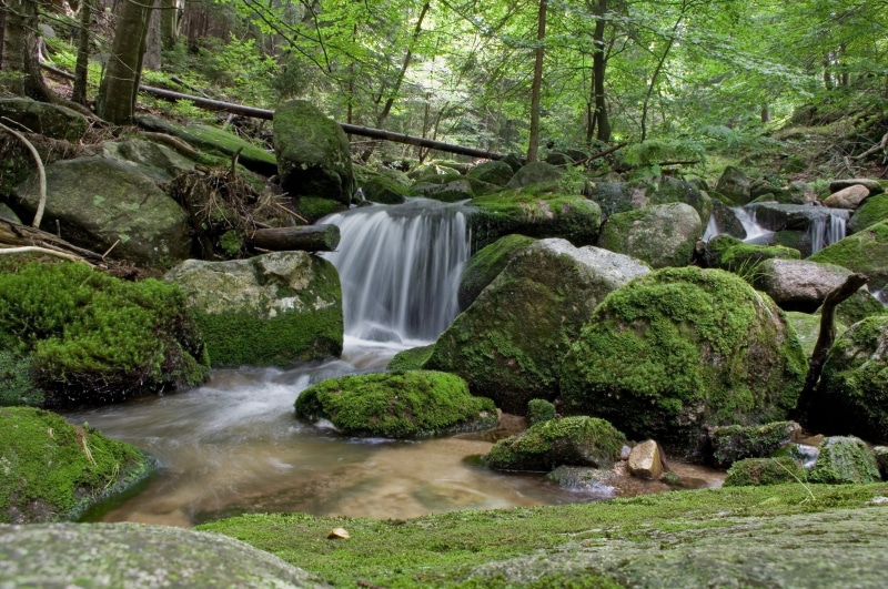 flowing water, rock - Object, environment, falling water, scenics, river, torrent, forest, long exposure, rainforest, stream, land, nature, blurred motion