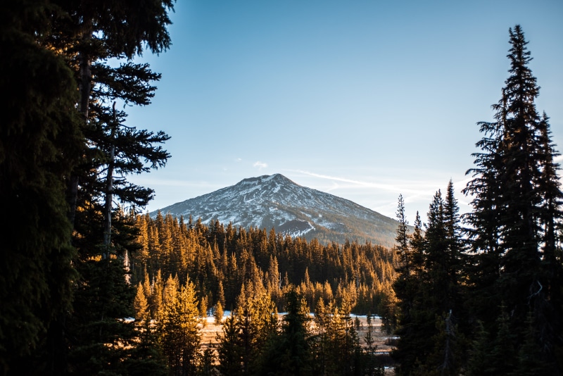 snow, hiking, peak, or, pine, idyllic, coniferous tree, outdoors, mountain, plant, conifer, bend, explore, tranquility, woods, scenics - nature, winter