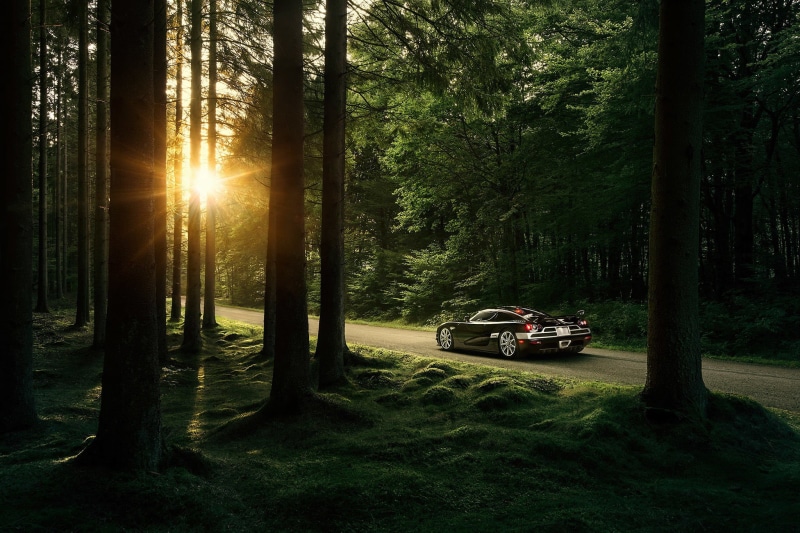 trunk, trees, land vehicle, non-urban scene, growth, coupe, motor vehicle, tranquil scene, sports car, mode of transportation, Koenigsegg CCXR, transportation