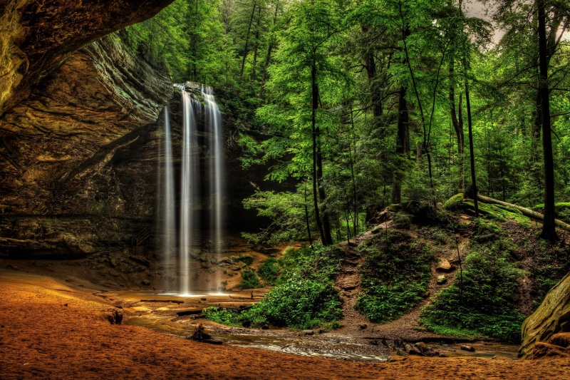 green color, waterfalls, land, nature, tree trunk, plant, woodland, outdoors, scenics - nature, beauty in nature, flowing, no people, day, flowing water