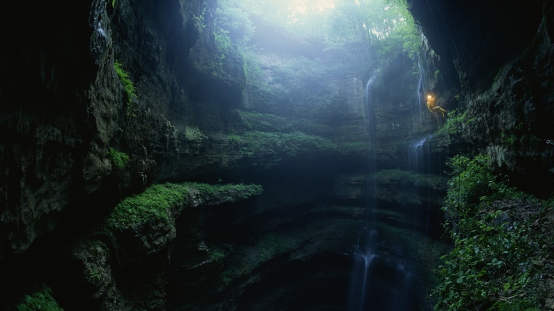 tranquility, trees, plant, fisheye lens, waterfalls, nature, forest, growth, green color, lights, sunlight, rock, non-urban scene, ropes, beauty in nature