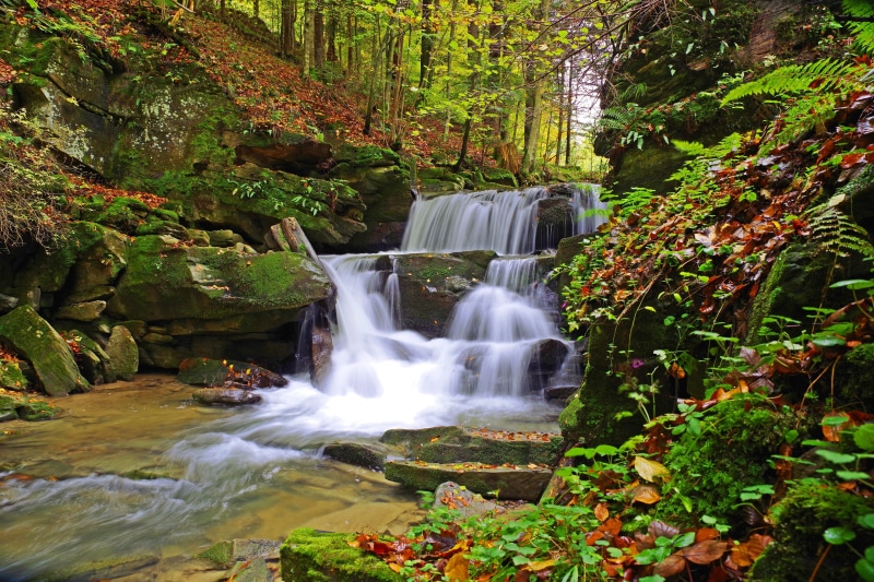 torrent, nature, brook, 4K, rock - object, water, tree, moss, land, flowing water, mosses, outdoors, power in nature, long exposure, mountain, forest
