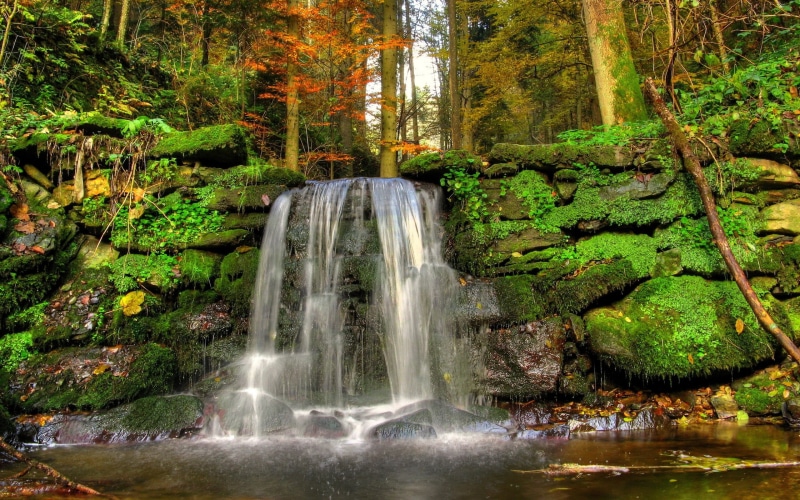 long exposure, solid, land, water, growth, power in nature, flowing, plant, stream - flowing water, waterfall, beauty in nature, nature, motion, no people