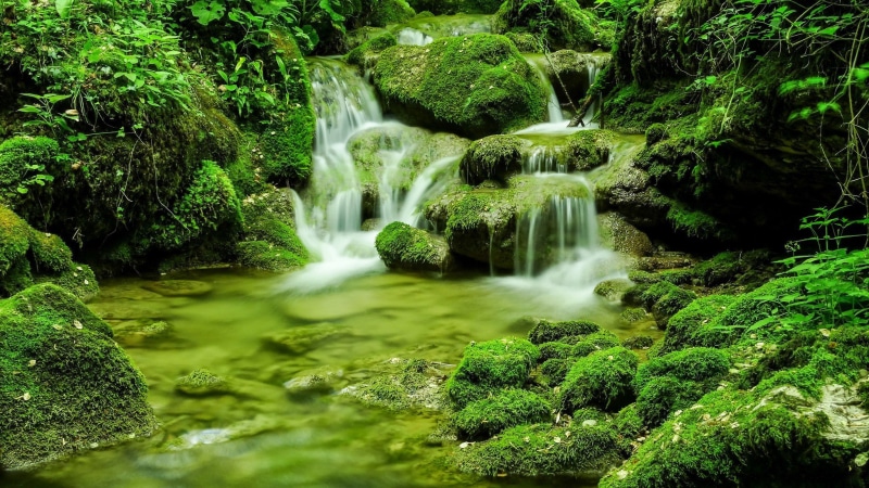 creek, 1080P, green, Friuli-Venezia is Alfa Romeo Giulia, Italy, rocks, Friuli - Venezia Giulia, moss