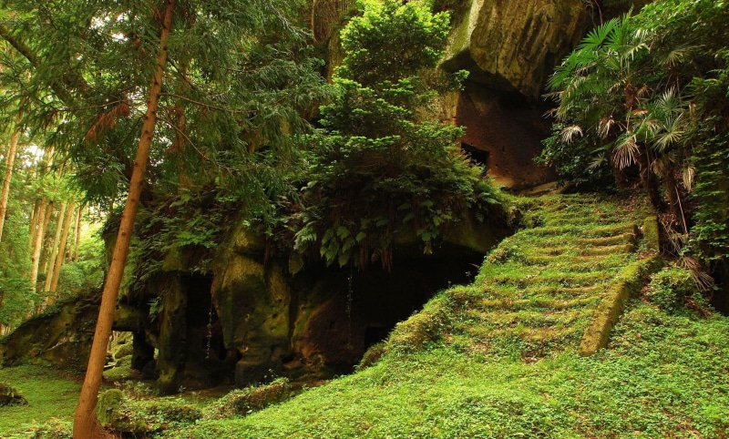 rainforest, grass, old, jungle, caves, trees, forest, nature and landscapes, 1080P, nature, cave, greenery