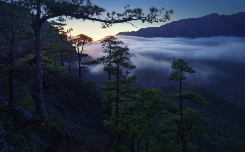 no people, idyllic, mist, clouds, mountain, cloud - sky, tranquil scene, pine trees, nature, outdoors, landscape, tranquility, beauty in nature, mountains