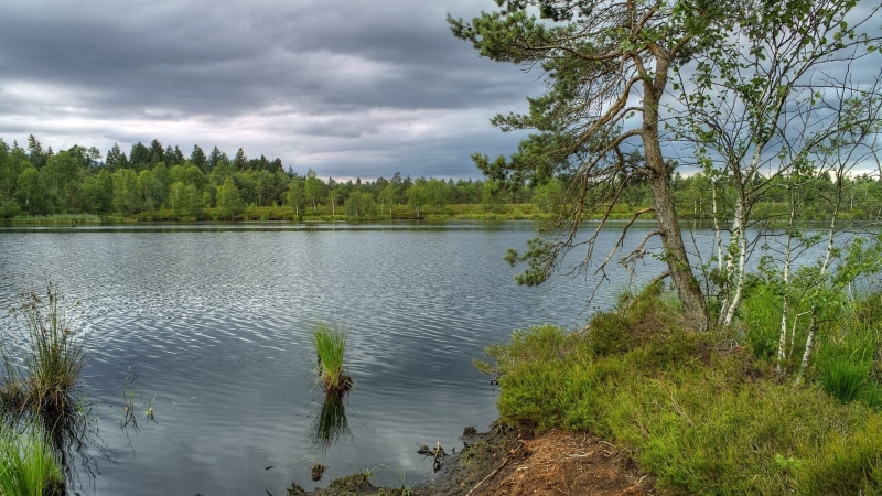 non-urban scene, green color, growth, download nature background images 1920x1080, tree, outdoors, plant, no people, lake, cloud - sky, day, tranquil scene