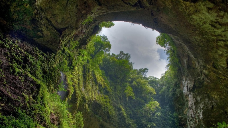 cave, forest, rock, nature reserve, ravine, puerto rico, jungle, 1080P, cliff, rainforest, vegetation, sky, arch