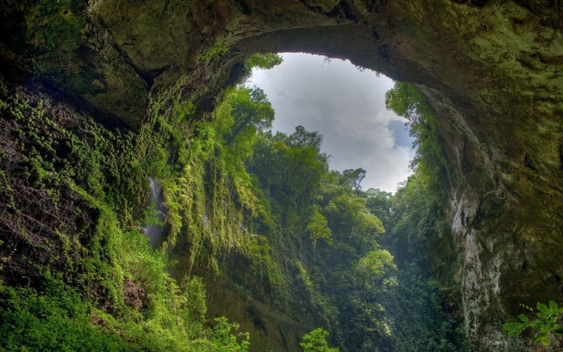 arch, 720P, nature, Puerto Rico, trees, cave, rocks
