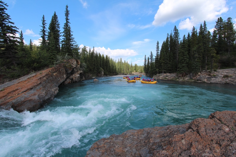 Kananaskis  country, Alberta, widow  maker, flowing, summer, daytime, travel, landscape, 5K, forest, Canada, nature, water, lake, mountain, Kananaskis country