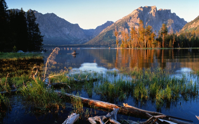 desktop, day, laptops, nature, mountain, lake, tranquility, idyllic, reflection, hd, tree, sky, national, park, scenics - nature, jackson, mountain range