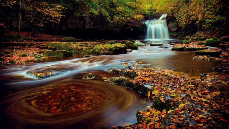 pc  nature beauty 2048x1152, tree, nature, day, 1080P, outdoors, splashing, long exposure, power in nature, flowing, beauty in nature, autumn, plant, scenics - nature
