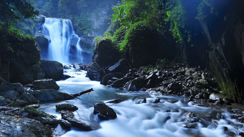 plant, water, tree, 1080P, rock, motion, beauty in nature, flowing water, rainforest, flowing, falling water, rock formation, outdoors, solid, waterfall