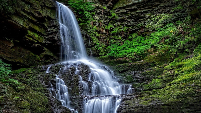 motion, power in nature, rock, long exposure, waterfall, solid, blurred motion, rock formation, forest, tree, non-urban scene, rainforest, rock - object