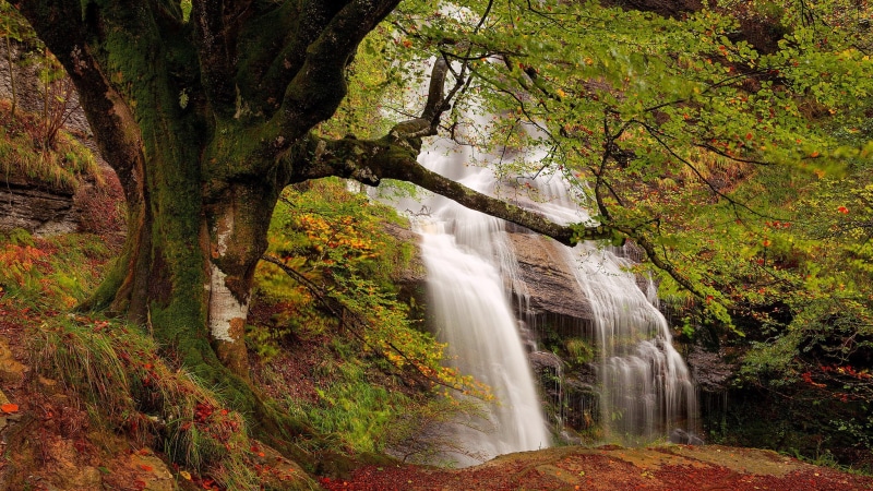flowing, growth, motion, environment, change, woodland, beauty in nature, power in nature, scenics - nature, waterfall, rainforest, nature, pc  nature beauty 2048x1152