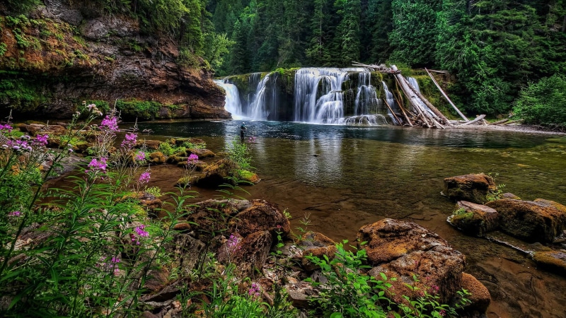 1080P, pc  nature beauty 2048x1152
