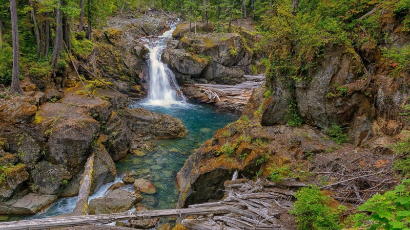 forest, long exposure, pc  nature beauty 2048x1152, plant, flowing, rock, rock - object, nature, tree, motion, rainforest, outdoors, blurred motion, land