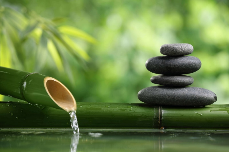 Earth, 2K, Zen Garden