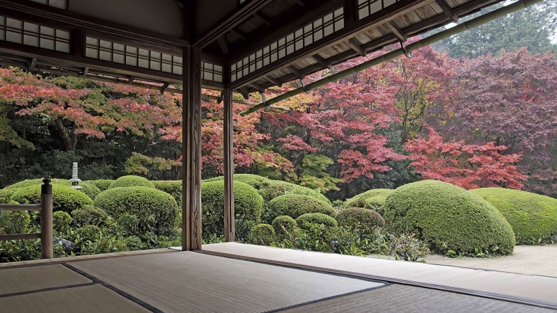 zen garden, garden, Japan, trees, 2K, courtyard