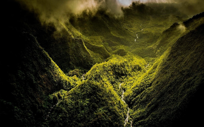 canyon, environment, growth, lush foliage, view, tree, forest, green color, outdoors, foliage, aerial, 1080P, clouds, plant, day, rainforest, green, scenics - nature