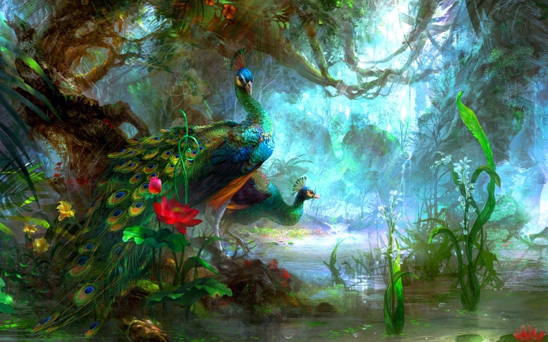 peacocks fantasy art birds vines forest, 2K