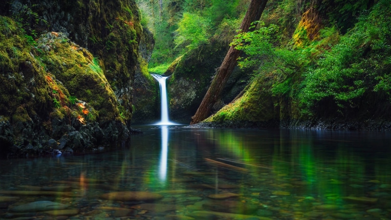 green, power in nature, flowing water, beauty in nature, united states, land, falling water, motion, vegetation, oregon, water, long exposure, flowing