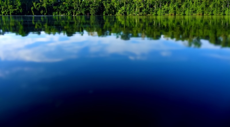 Jungle, America, Forest, waterfront, Rain, Rivers, tilt, tree, no people, tranquility, crees, sky, tranquil scene, Native, shift, Park, scenics - nature