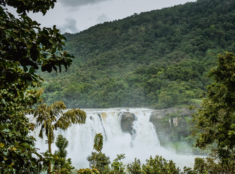 nature, flowing water, bush, tranquility, pariyaram, non-urban scene, power in nature, surrounded, outdoors, land, jungle, river, plants, scenics - nature