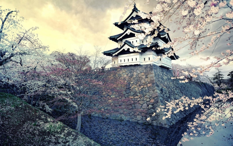 solid, belief, building, building exterior, history, built structure, Japan, day, cloud - sky, growth, the past, cherry, low angle view, sky, plant, tree