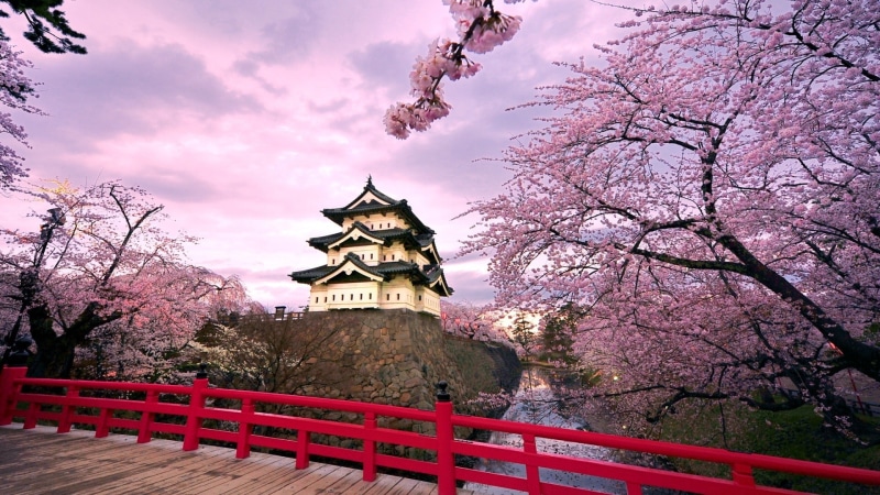 japan, bridges, art, bridge, x, architecture, temples, cherry blossoms, japanese, cherry, blossoms, 1080P, hd