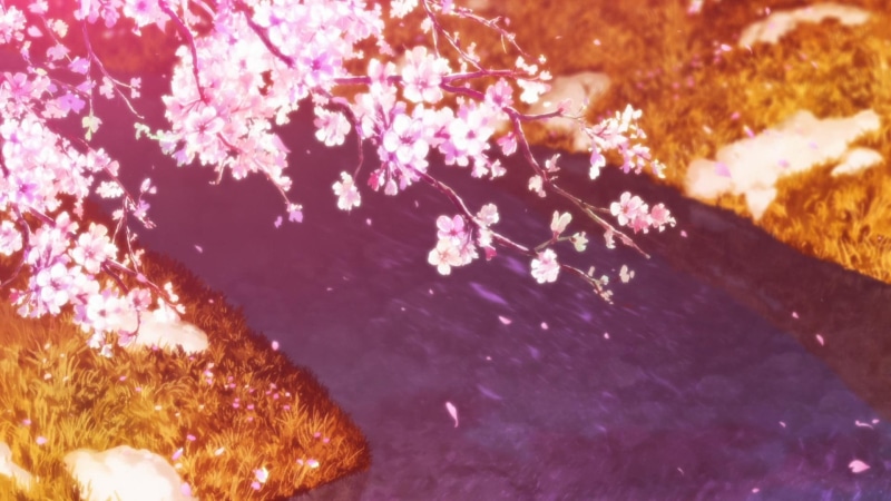 cherry, flowers, grass, blossom, cherry blossom, painting, 1080P