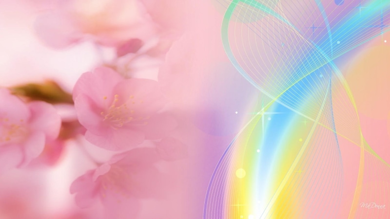 sakura, 3d and abstract, blooms, abstract, streak, color, cherry blossoms, flowers, 1080P, blossoms, abtract, cherry