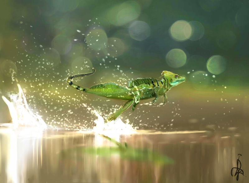 speed, reptile, Amazing Animals, flight, running, basiliscus, s, 4K, basilisk, splashing, flowers, green, asta, common, Common basilisk lizard, palm, Nature