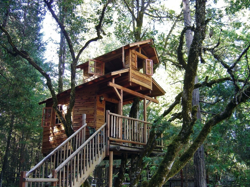 720P, Trees, treehouse, hd, stairs, porch, art, forest, architecture