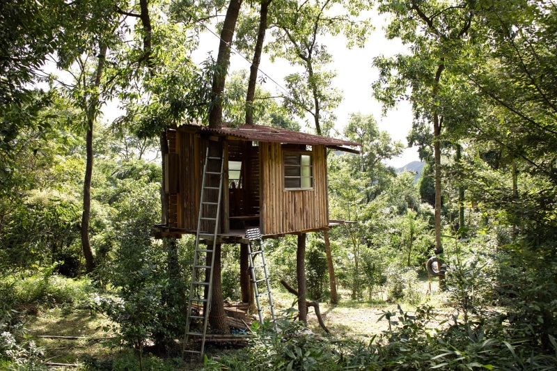 green color, tranquility, land, nantan, outdoors, wood - material, growth, 2K, hut, day, no people, birdhouse, cabin, forest, trees, japan, woodland, built structure
