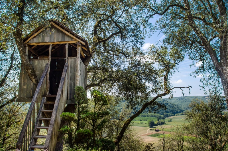building exterior, sky, view, tranquil scene, treehouse, green color, outdoors, tranquility, tree, wood - material, low angle view, forest, steps, adventure