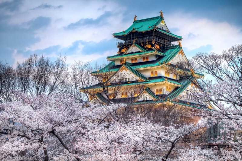 teal, low angle view, 1080P, branch, ancient, osaka Prefecture, cherry, plant, cloud - sky, ninja, spring, cultures, the Past, tower, history, snow, blue